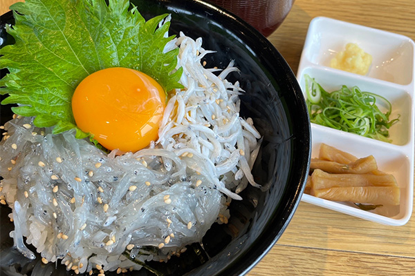 しらすハーフ丼（季節限定）